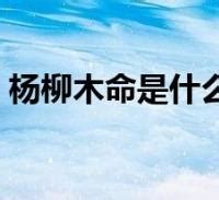 平地木|八字納音五行解析——平地木